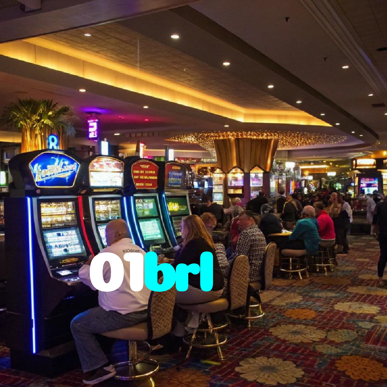01brl
